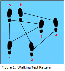 walking test pattern for esd tests